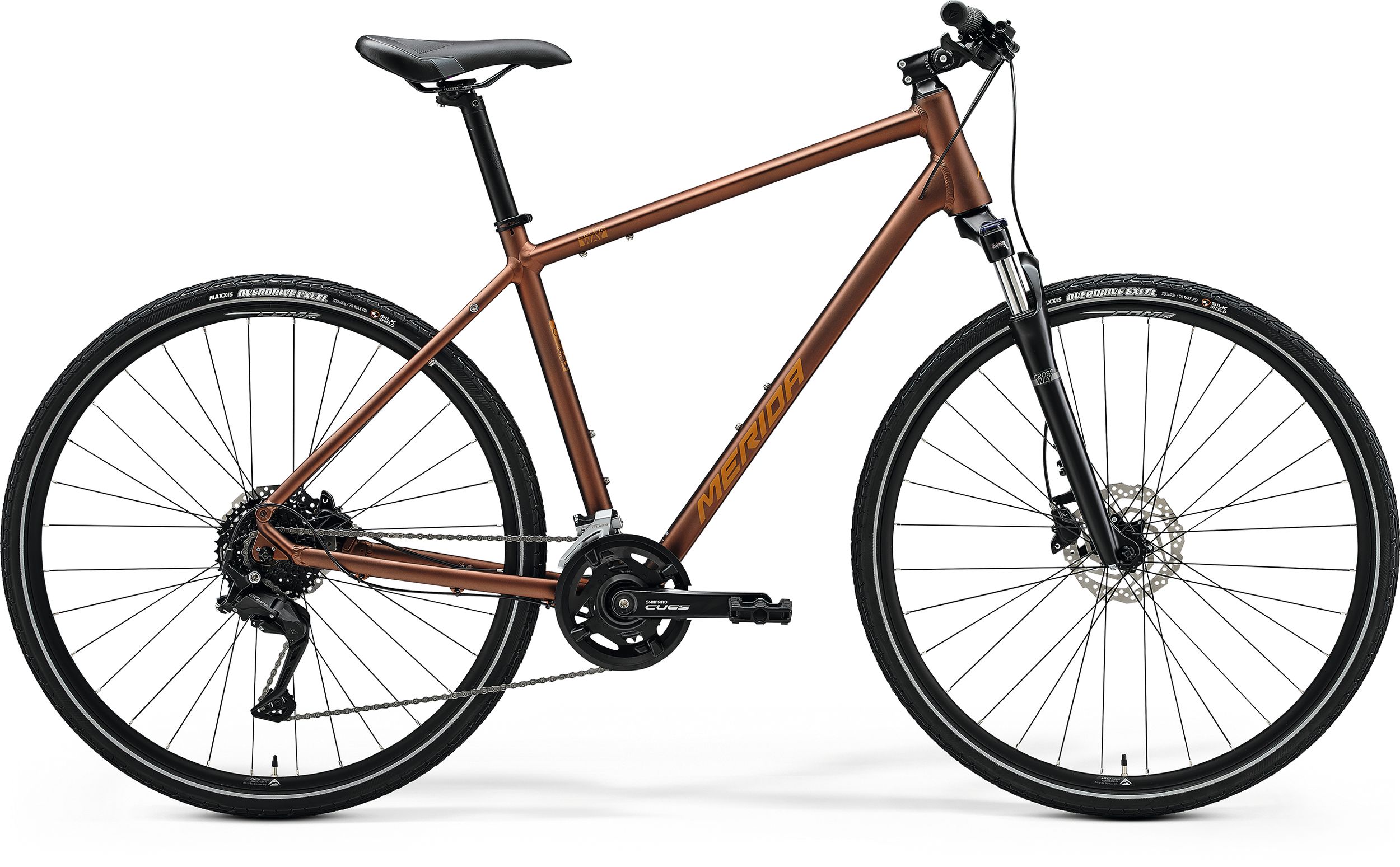 CROSSWAY 100 (2025)