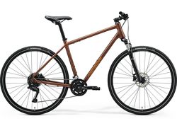 CROSSWAY 100 (2025)