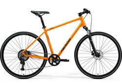 CROSSWAY 20 (2025)