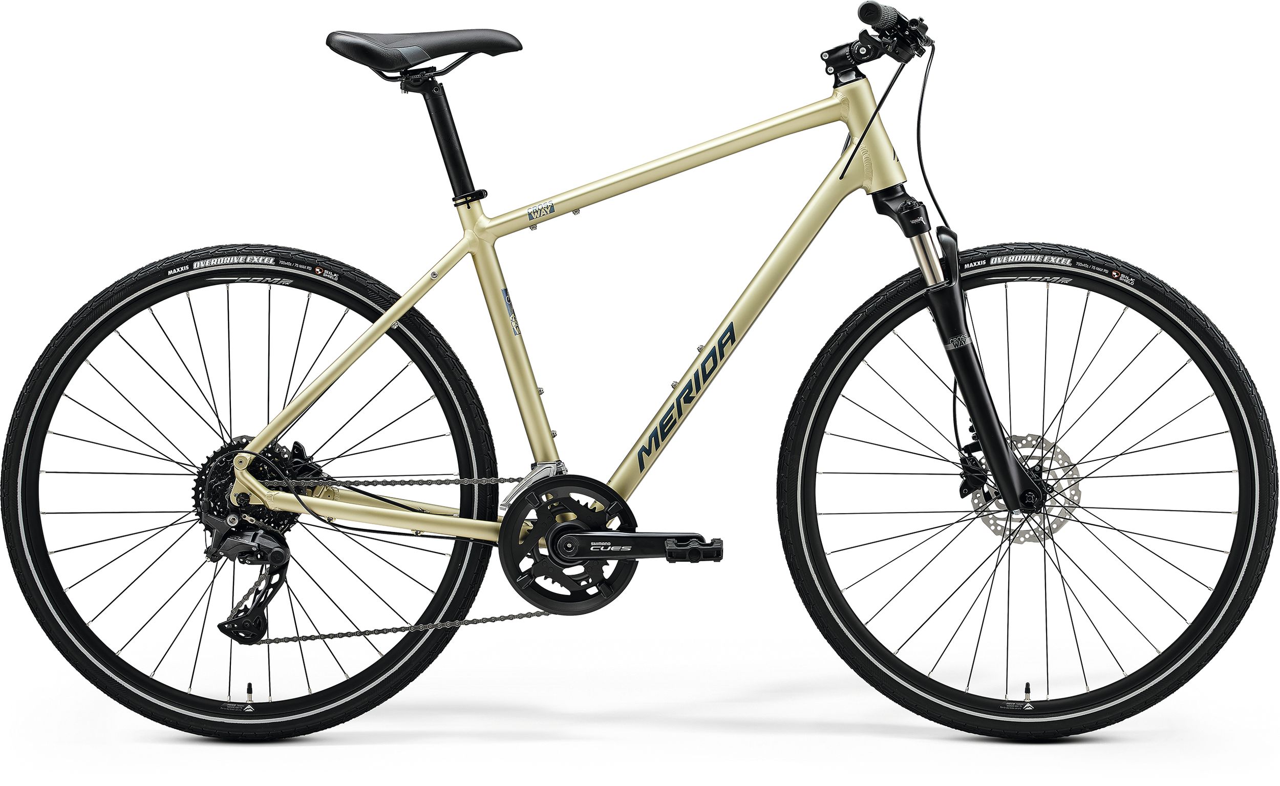 CROSSWAY 300 (2025)