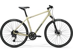 CROSSWAY 300 (2025)
