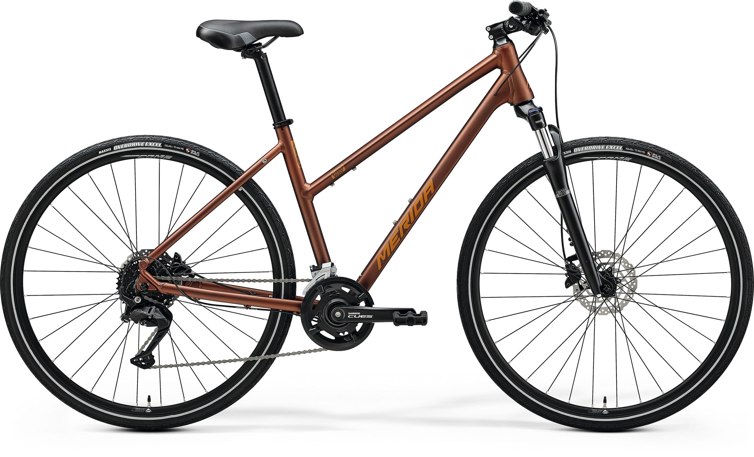 CROSSWAY L 100 (2025)