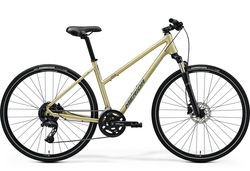 CROSSWAY L 300 (2025)