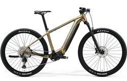 eBIG.NINE 775 (2024)