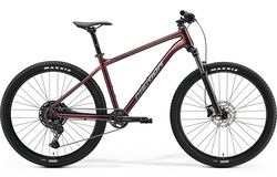 BIG.SEVEN 200 (2025)