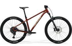 BIG.TRAIL 500 (2025)